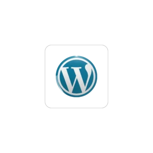 wordpress expertise freelance digital marketer in palakkad
